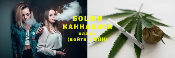 прущие грибы Ростов