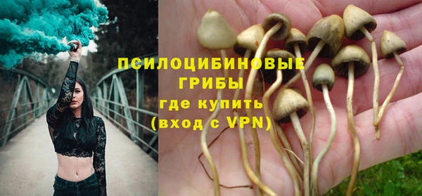 ПСИЛОЦИБИНОВЫЕ ГРИБЫ Баксан