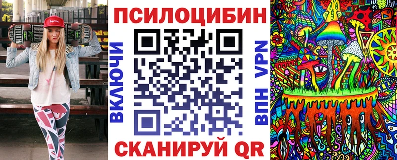mega tor  Лениногорск  Галлюциногенные грибы Cubensis 